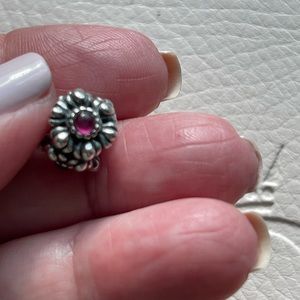 Pandora's October Birthday Blooms (pink) - RETIRED